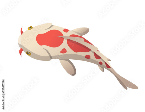 Calmly floating fish. Koi fish vector illustration japanese carp, colorful oriental koi in Asia. Chinese goldfish, traditional fishery isolated on background