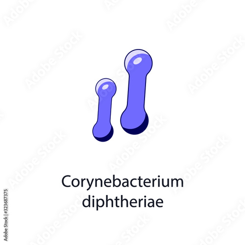 Corynebacterium diphtheriae. Bacterial microorganism. Vector illustration isolated on white.