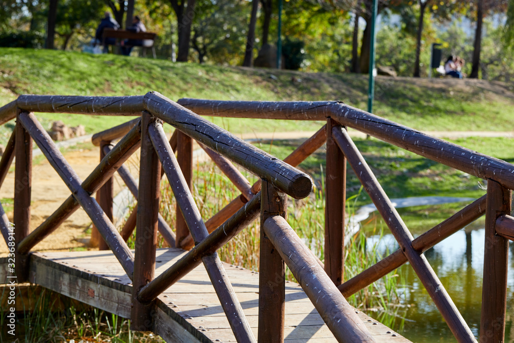 wooden bridge in malaga park
