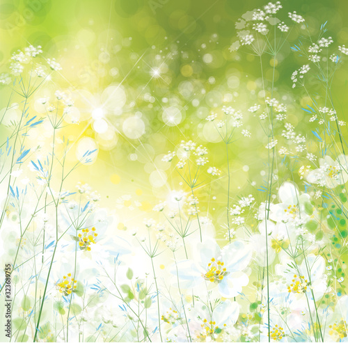 Vector spring, floral background. Nature background.