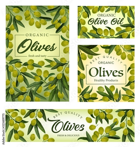 Green olives and oil vector banners with olive tree branches, leaves and fruits frame. Packaging design of Greek and Italian food, salad dressing ingredients and mediterranean cuisine products
