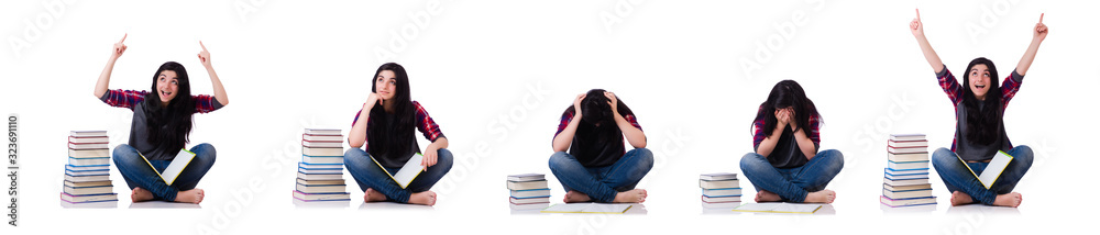 Young student with books isolated on white Young student with books isolated on white