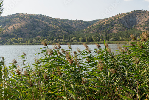 Lake Eymir in Ankara, Turkey photo