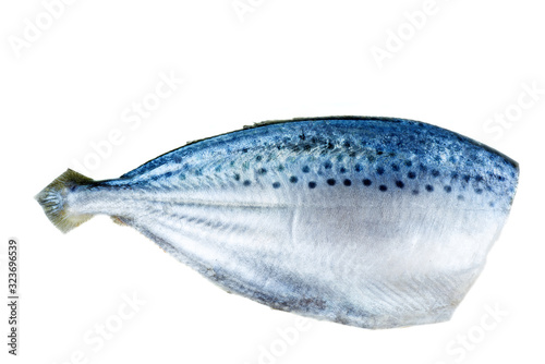 Ready to cook raw fresh pompano fish isolated on white background