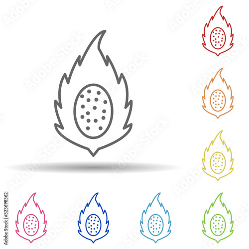 Pitaya in multi color style icon. Simple thin line, outline vector of fruit icons for ui and ux, website or mobile application