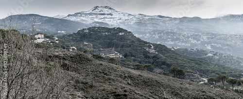 The mountains of Lebanon were once shaded by thick cedar forests and tree is the symbol of country. Beautiful landscape of mountainous town in winter, Eco tourism, Chouf district with large vistas