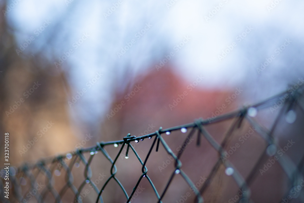 Rainy days early spring - drops on the fence Rainy days early spring - drops on the fence