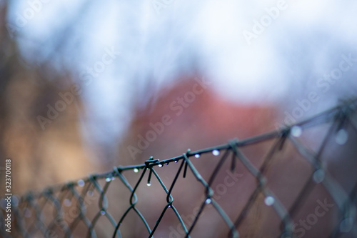 Schilderij op canvas Rainy days early spring - drops on the fence