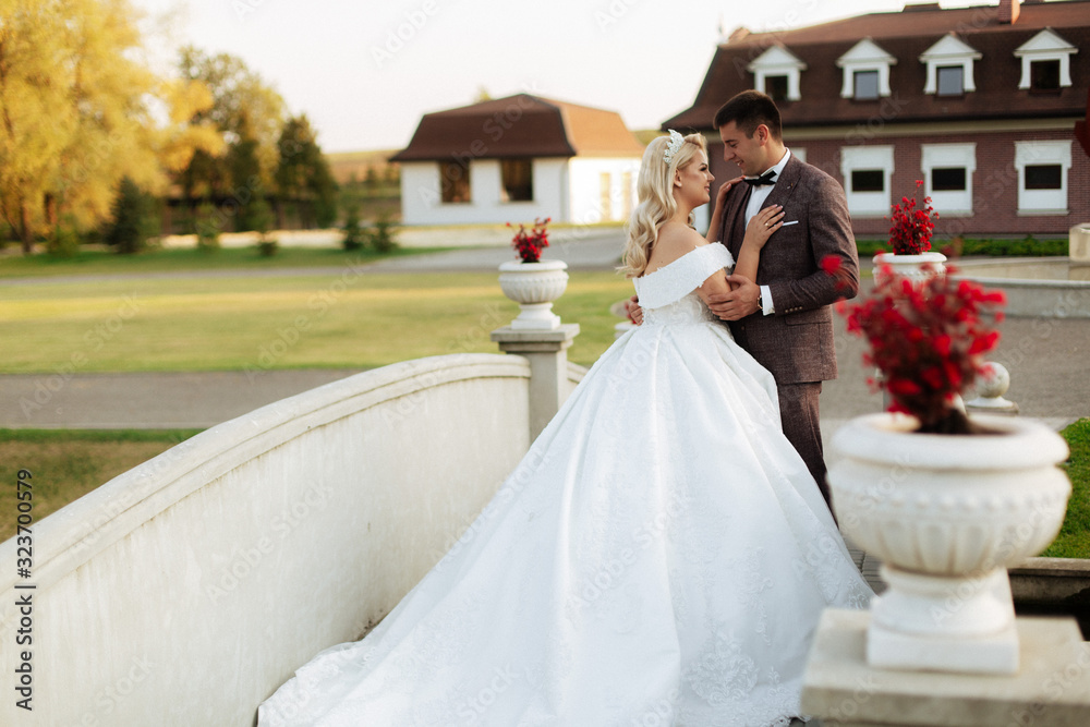 Fototapeta premium Wedding in the castle. Stylish and beautiful. Princess's dress. Lush white dress and veil. Bride is a brunette. The groom in a black suit. A couple is walking in the park on the castle grounds.
