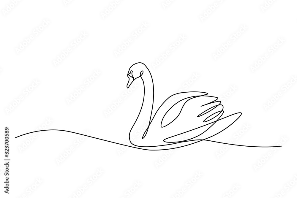 Fototapeta Swan bird on water surface in continuous line art drawing style. Black linear sketch isolated on white background. Vector illustration