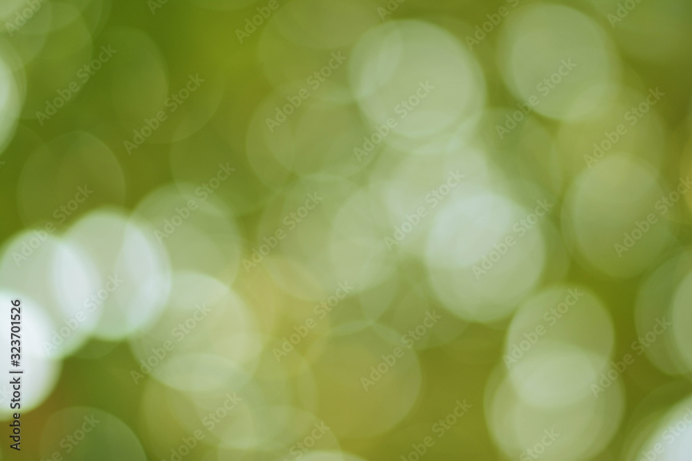 Obraz premium Background Green Olive Bokeh