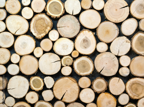 Pile of tree stumps  woods structure