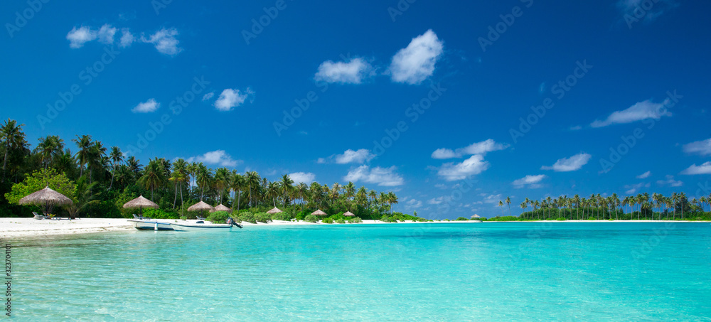 Naklejka premium tropical Maldives island with white sandy beach and sea