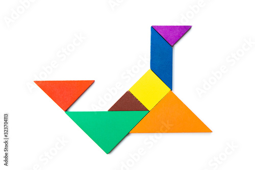 Color wood tangram puzzle in seal or sea lion shape on white background