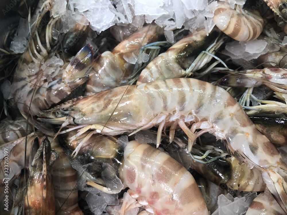 Chilled tiger shrimps at the market counter Chilled tiger shrimps at the market counter