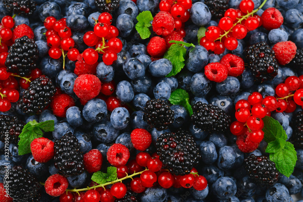 Blackberry, raspberry, blueberry, red currant and mint background. Blackberry, raspberry, blueberry, red currant and mint background.