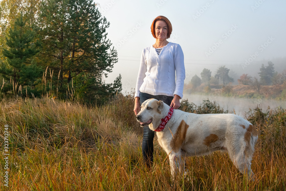 Tourist girl in forest on halt with dog. mistress plays with hunting hound. mistress caresses dog. Happy woman breeder dog walks with dog.