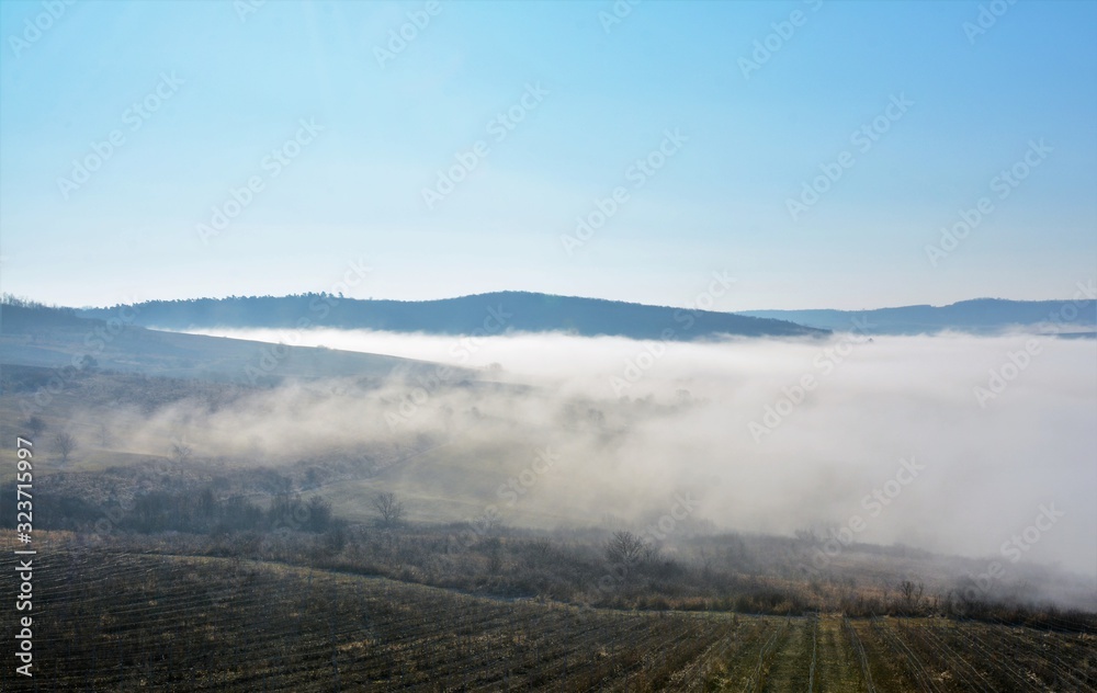 Fototapeta premium fog between hills in a rural area