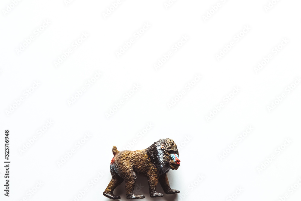 Obraz premium monkey toy on the white background