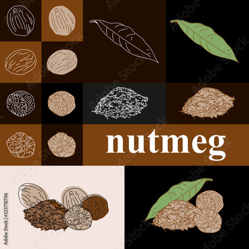 nutmeg spice elements, make your own composition