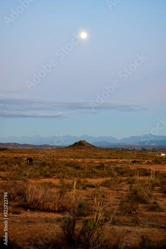 South Africa, A full moon hovers early in the morning over the Klein Karoo countryside in South Africa