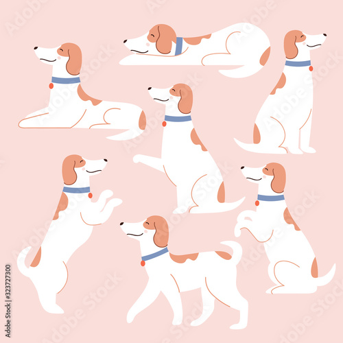 Collection of funny white dogs in different situations set.