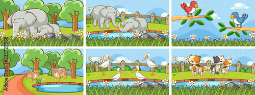 Background scenes of animals in the wild