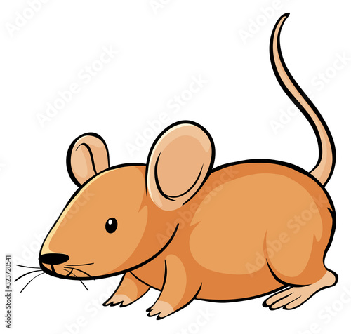 Orange mouse on white background