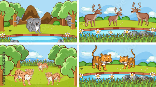 Background scenes of animals in the wild