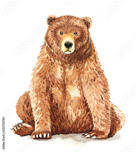 Watercolor brown bear. Watercolor hand drawn bear drawing, Bear animal Paint, Baby shower, digital download, clipping path isolated on white background. © SapG Art