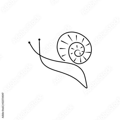 Linear sketch of a snail. Vector illustration