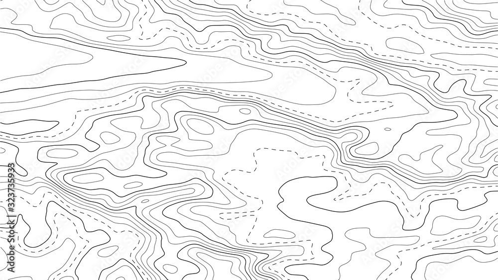 Obraz premium Topographic map background. Grid map. Abstract vector illustration.