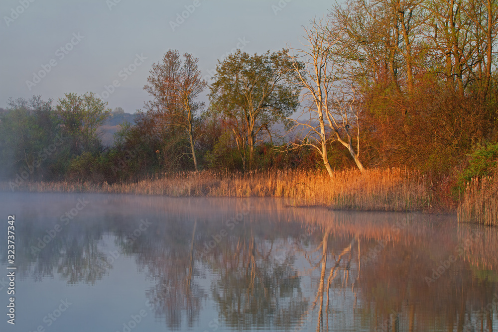 Foggy spring landscape at sunrise of Whitford Lake, Fort Custer State Park, Michigan, USA Foggy spring landscape at sunrise of Whitford Lake, Fort Custer State Park, Michigan, USA