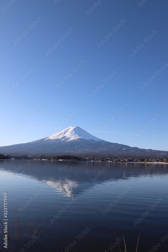 河口湖からの富士山