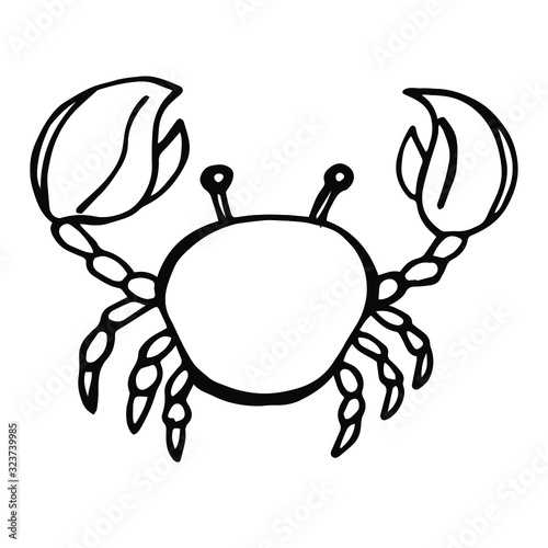  Vector illustration. Close-up of a crab on an isolated white background. Design for children's tattoos, coloring books, covers, print clothes.