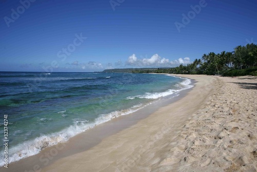 Hawaiian beach on a clear day