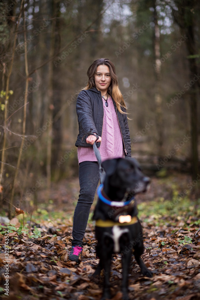 Portrait of a beautiful girl in the autumn forest. Portrait of a beautiful girl in the autumn forest.