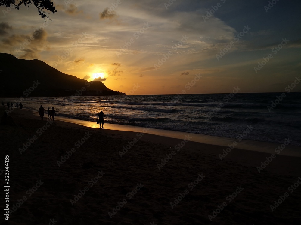 Obraz premium Seychellen, Karibik, Malediven, Mauritius, Reunion, Hawaii, Strand, Meer, Sonne, Urlaub, Reisen, Ferien, Palmen, Beach, Tropisch, Insel, Himmel, Wasser, Sommer, Paradies, Dschungel, Küste