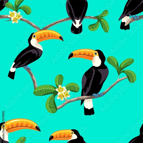 toucan bird in the rainforest. seamless background