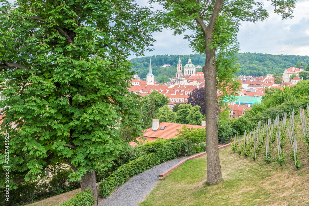 View of Vineyards in Prague of Czech Republic.