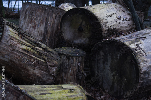 pile of logs