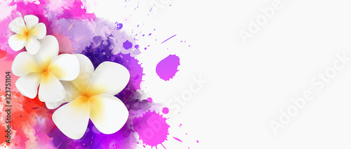 Banner with frangipani flowers