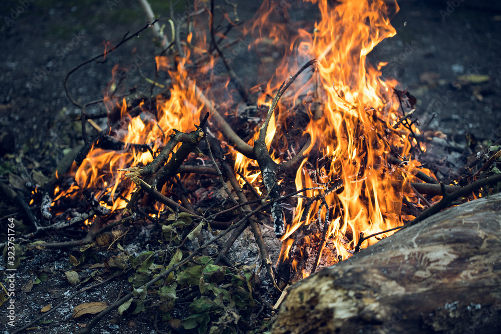 Farmer burns green waste in the concept of bonfire, bonfire outdoors, agriculture. Fallen leaves, branches and household trash burns in an autumn fire Farmer burns green waste in the concept of bonfire, bonfire outdoors, agriculture. Fallen leaves, branches and household trash burns in an autumn fire