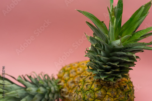 Isolated pineapples on a pink background with space for text in the upper left of the image. Healthy food concept.