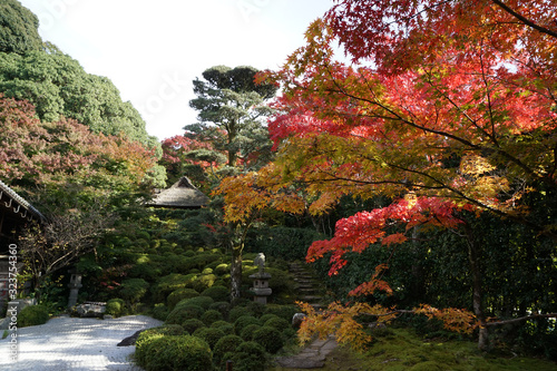 金福寺の紅葉