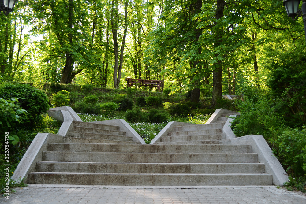 Concrete stairs between the trees in a park, Govora Romania Concrete stairs between the trees in a park, Govora Romania