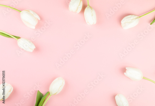 White tulip on pastel pink background. Traditional holiday gift. Valentine's day, Birthday, Mother's day. Letter with love.Romance.Flat lay.Copy space .