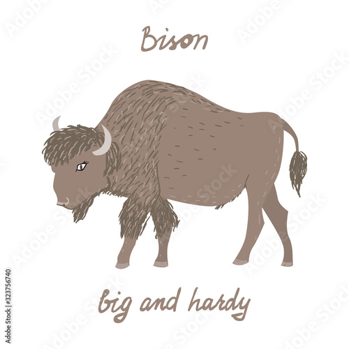 Drawn buffalo with text Bison big and hardy. Childish tee shirt print.