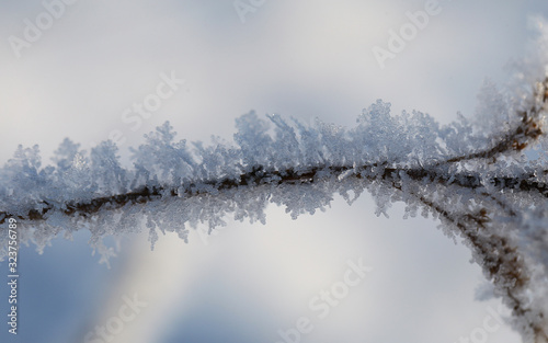 Cold weather... frost on dead grass