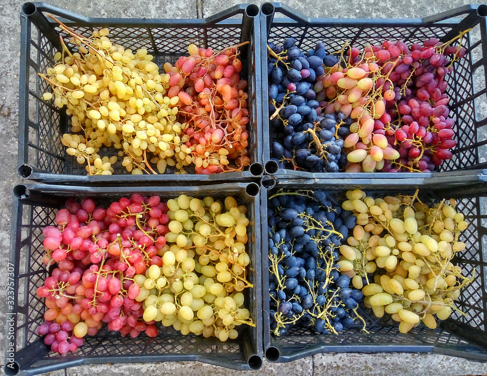 Сrates with ripe bunches of grape berries of different varieties and colors from a homestead or farm. The concept of the rural market.